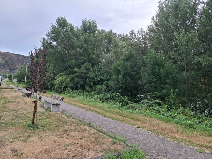 Wohnmobilstellplatz Kobern-Gondorf