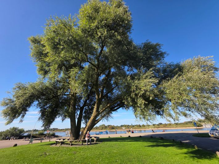 Camperplaats Loswal Wijhe