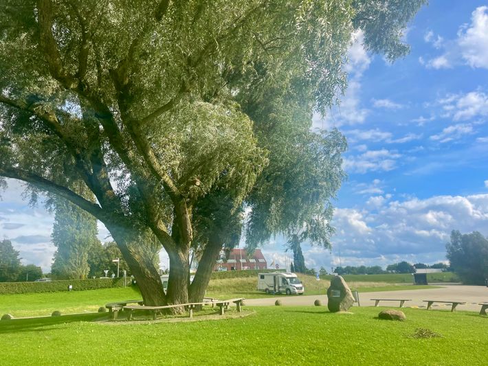 Camperplaats Loswal Wijhe