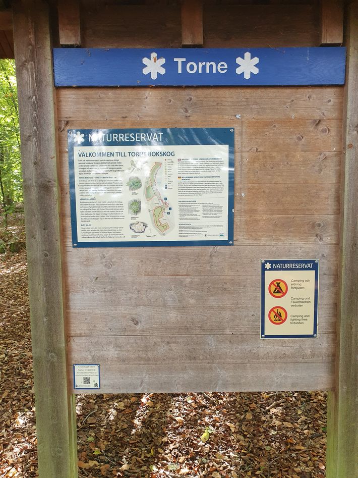 Torne Camping & Fiskecamp