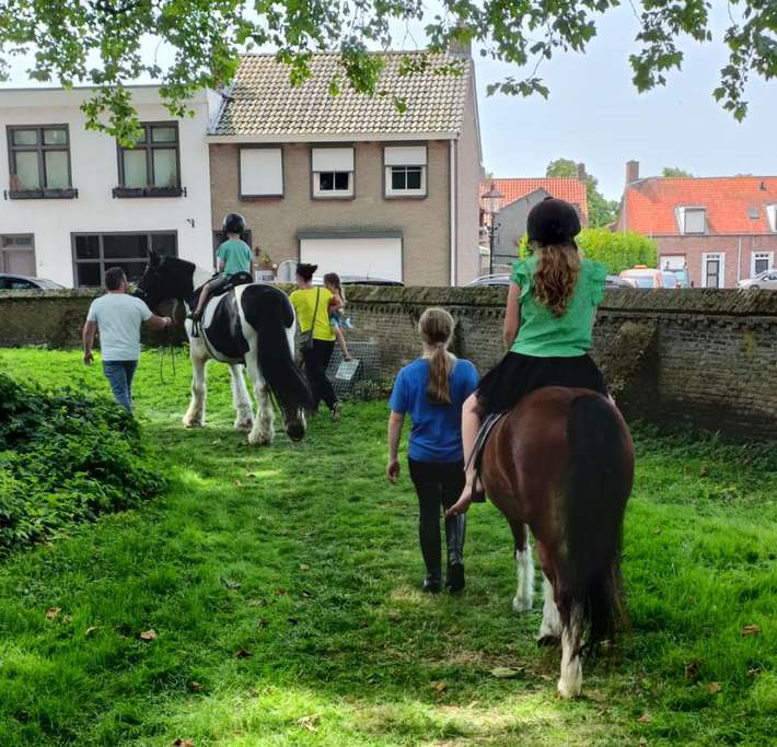 Minicamping De Blesshof 