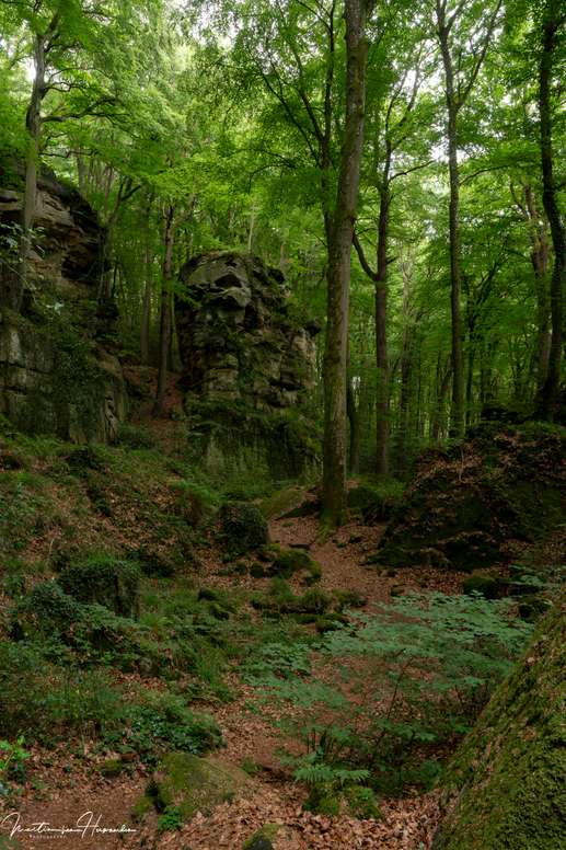 Een foto toegevoegd aan een locatie