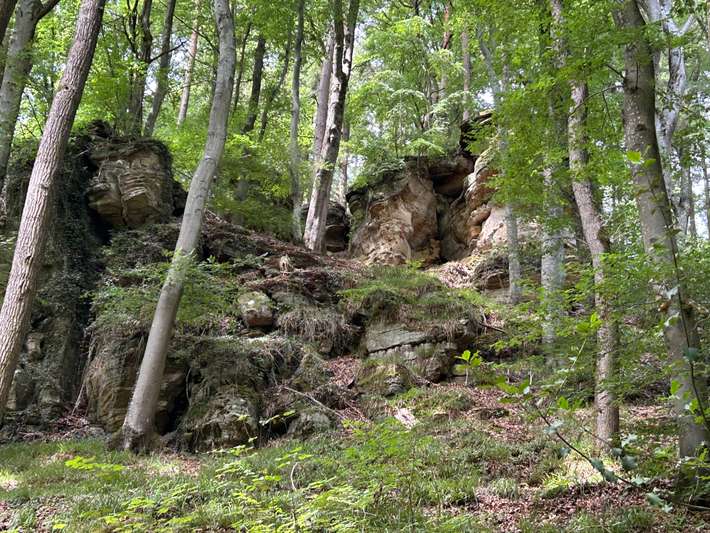 Camping Consdorf La Pinede