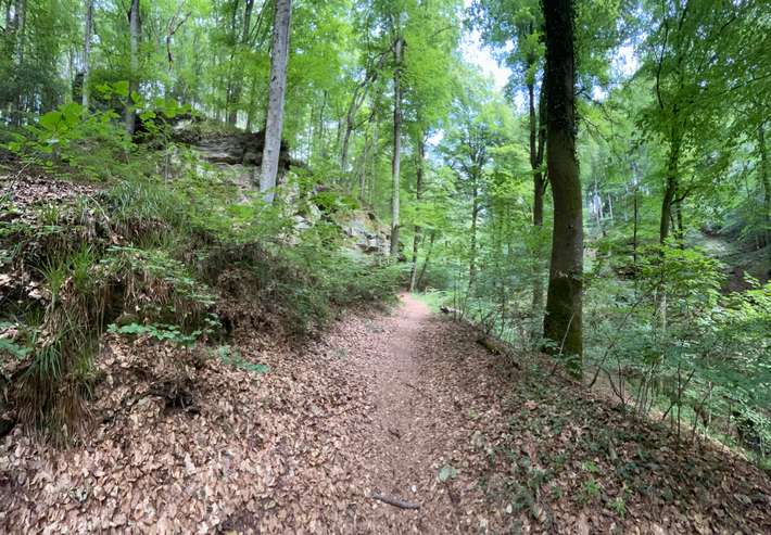 Camping Consdorf La Pinede