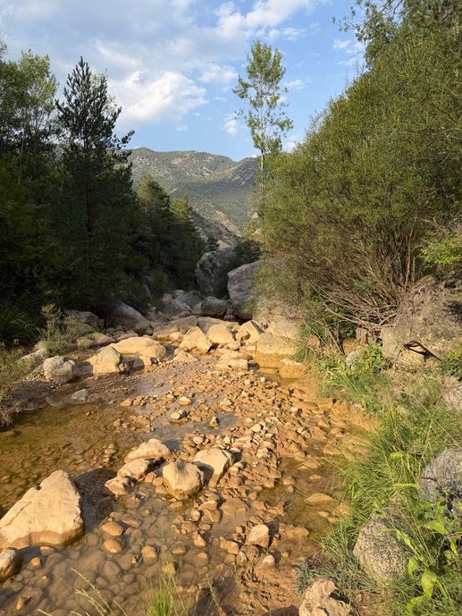 Added a photo to a location