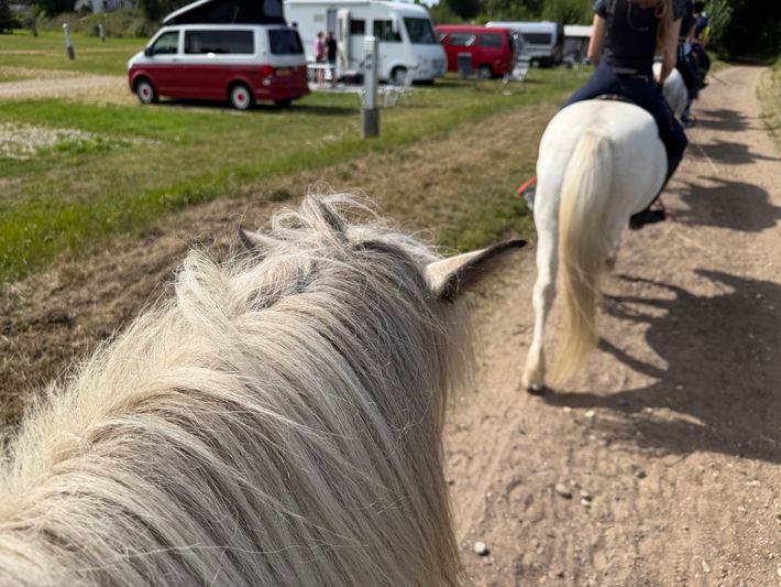 Kommandørgårdens Camping