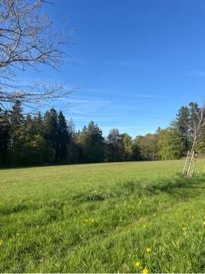 Wildfreigehege