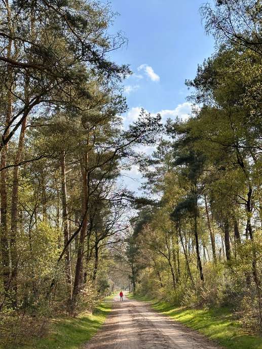 Een foto toegevoegd aan een locatie