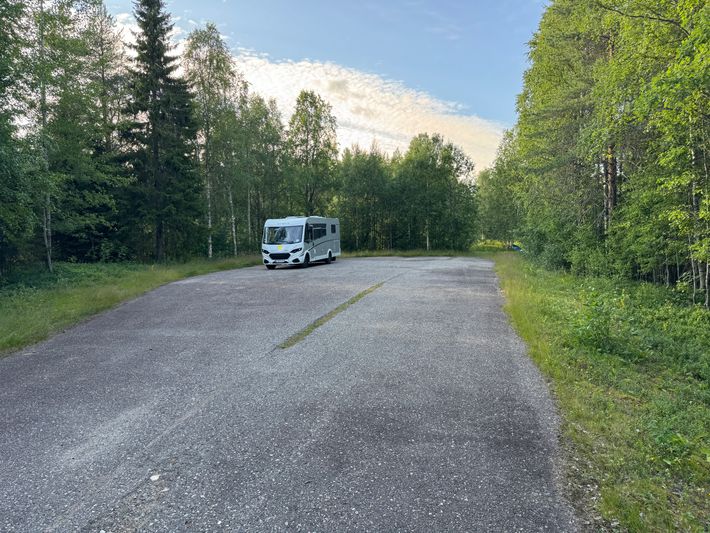 Petäjä