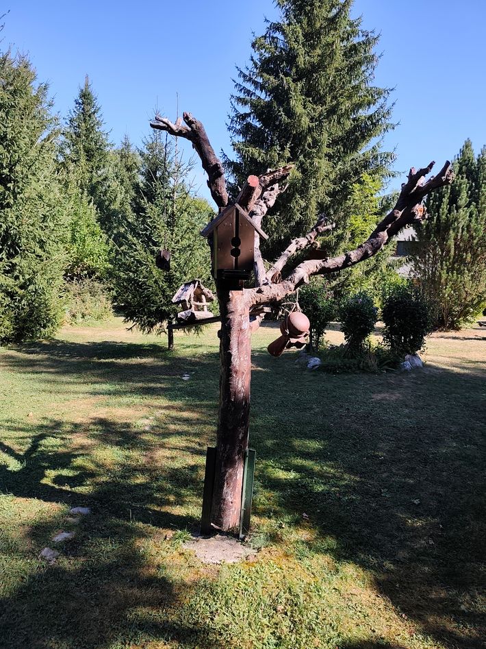 Floare de Colţ Camping