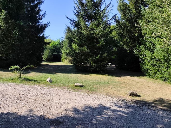 Floare de Colţ Camping