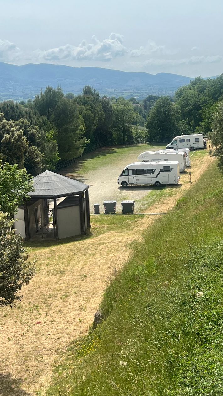 Area Comunale