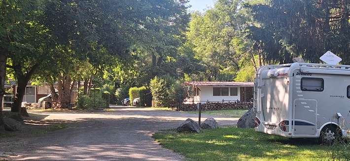 Camping  City Nature