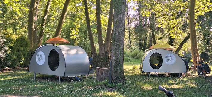 Camping  City Nature