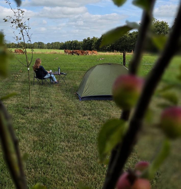 Camping Eastermar