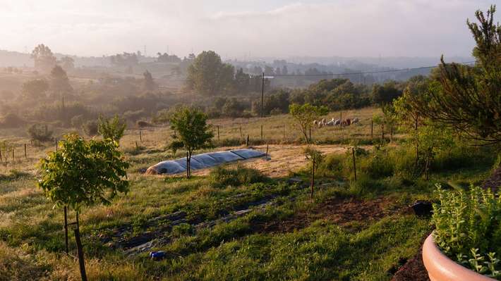 Quinta das Lameiras
