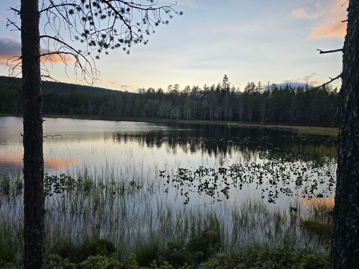 Natuur plaatsen Idre