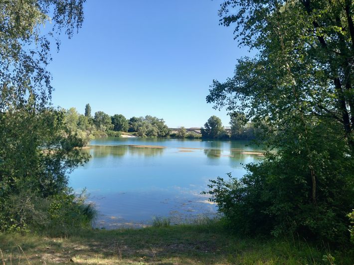 CP Rheinau