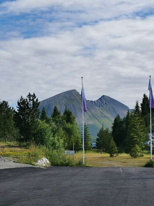 Added a photo to a location