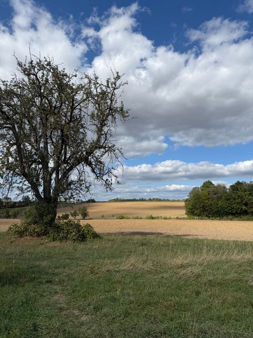 Een foto toegevoegd aan een locatie