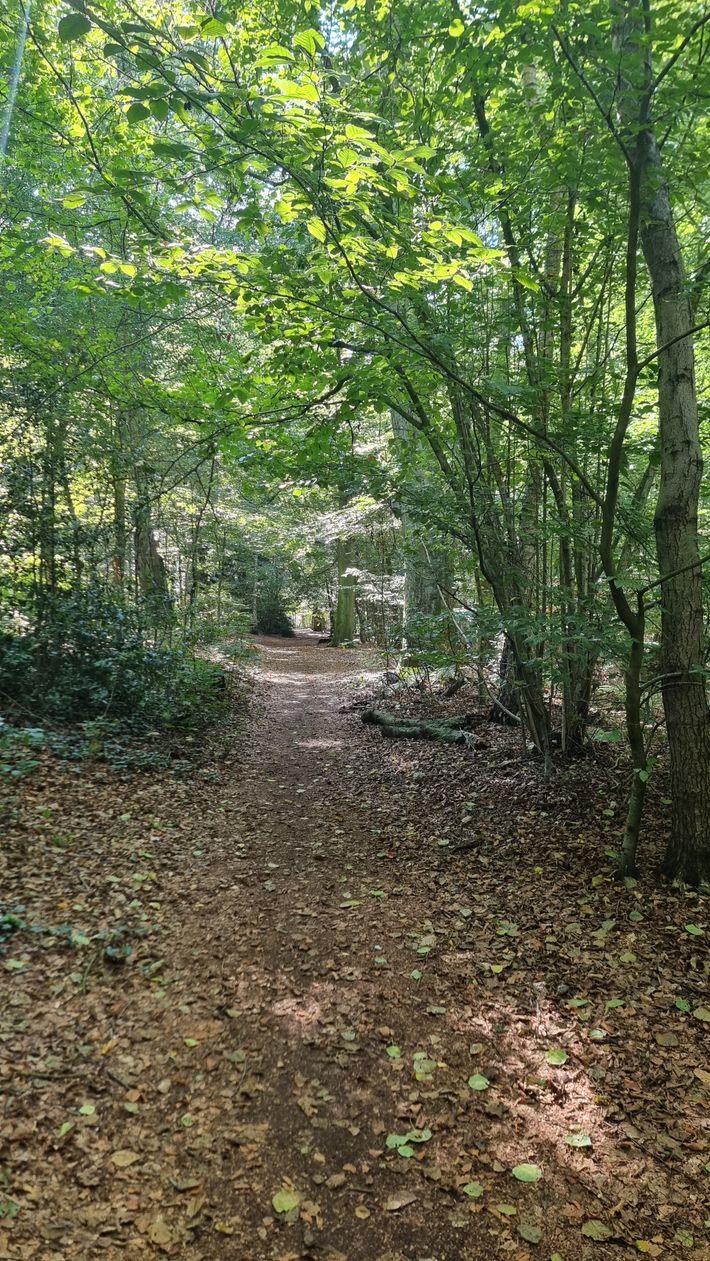 Wohnmobilstellplatz „Auf der Haseinsel im Stadtwald Bersenbrück"
