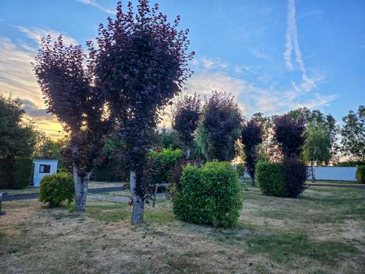 Een foto toegevoegd aan een locatie