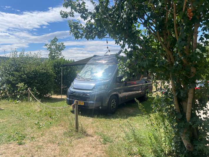 Green Camping am Rhein