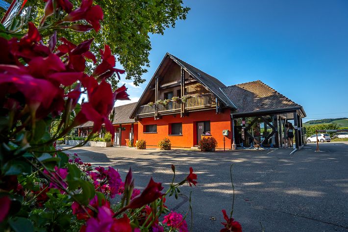 Camping de Riquewihr