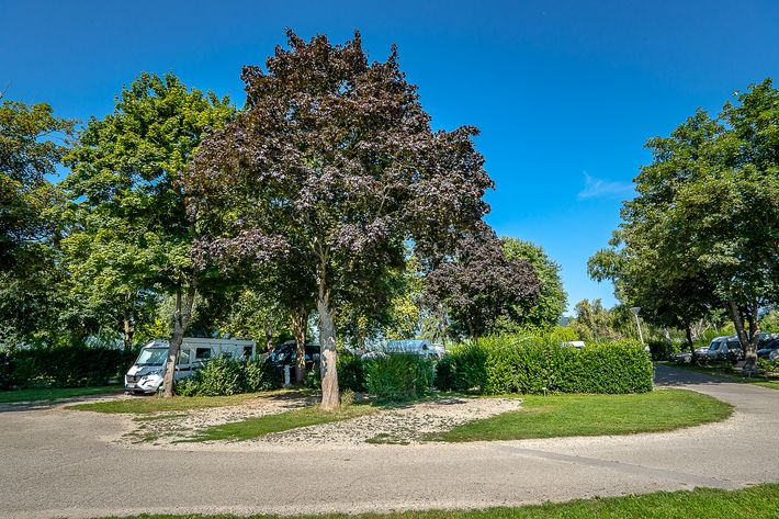 Camping de Riquewihr