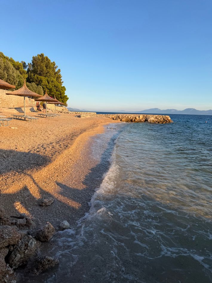 Camp Male Ciste