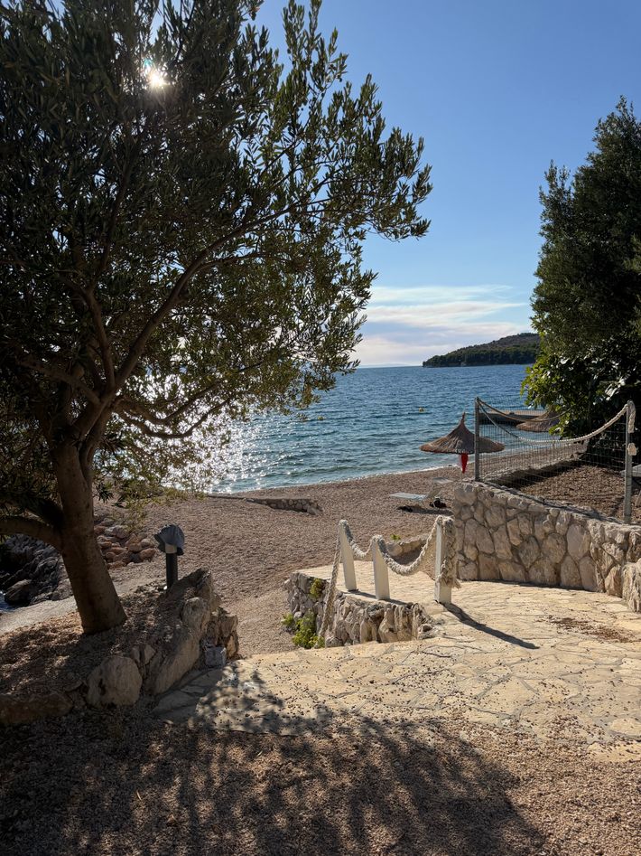 Camp Male Ciste