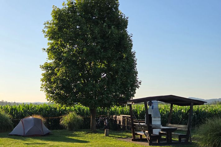 Camping Celje