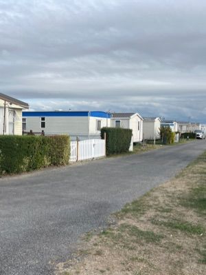 Les cognets