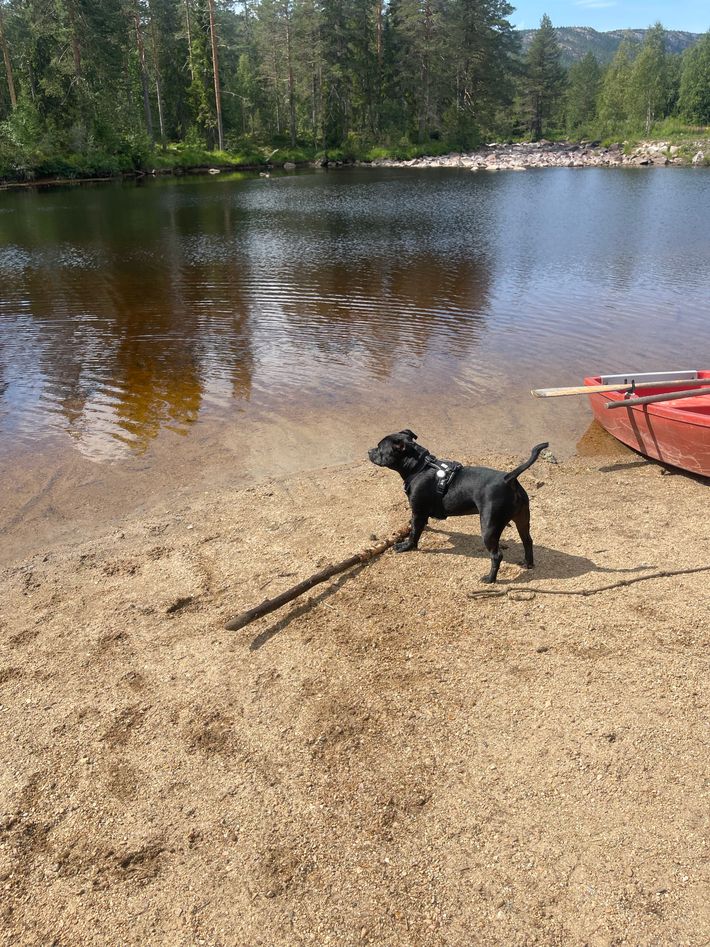 Max camping