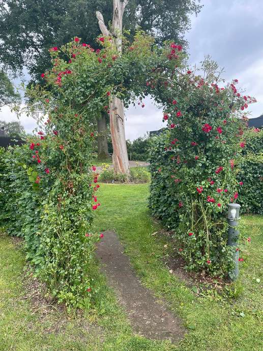 Added a photo to a location