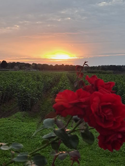 Aggiunta una foto a una posizione