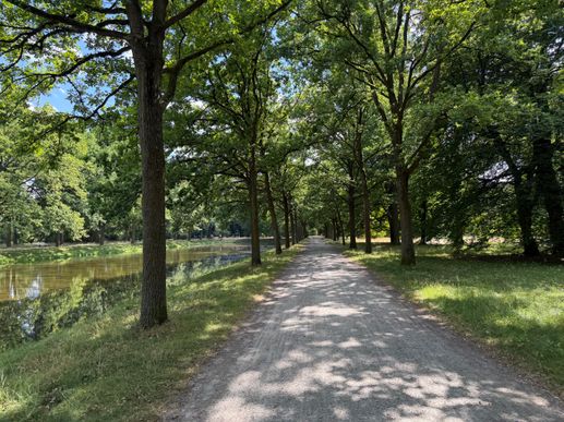 Added a photo to a location