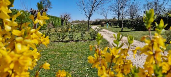Camping Carrefour de l'Ardèche