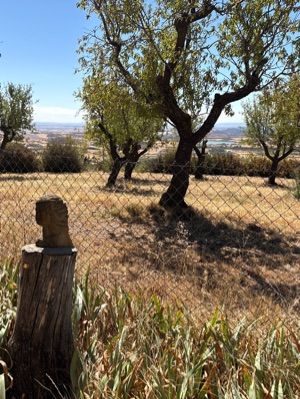 Camping Castillo de Loarre
