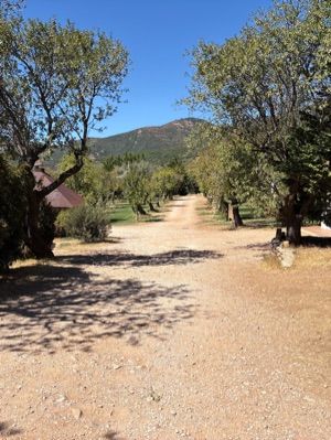 Camping Castillo de Loarre