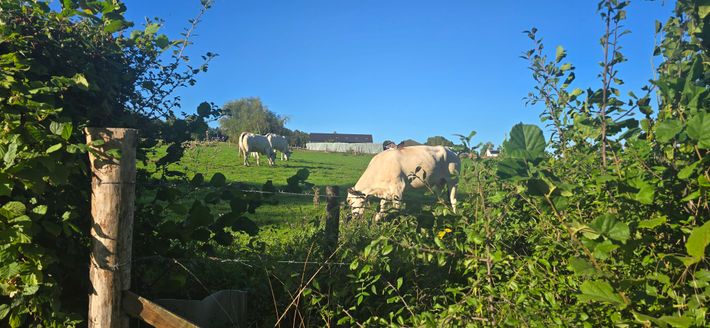 Camping Hoeve de Gastmolen