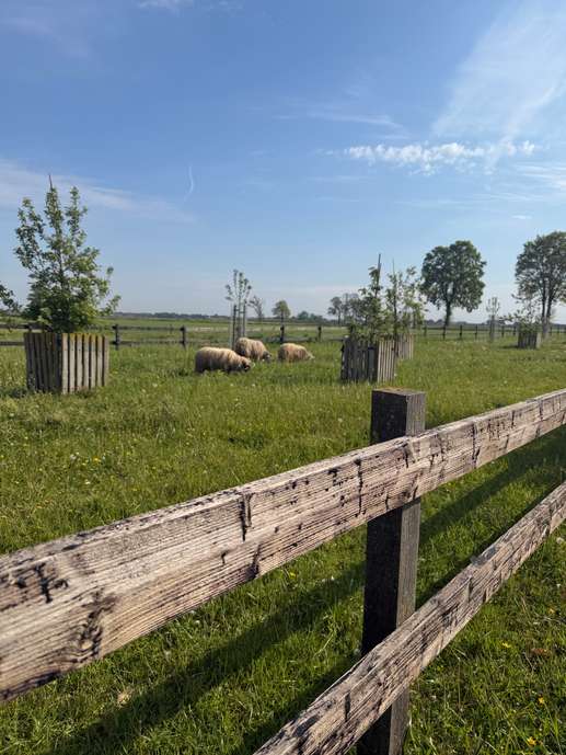 Een foto toegevoegd aan een locatie
