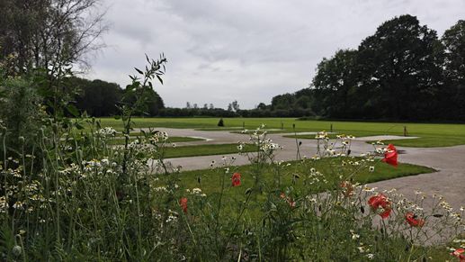 Een foto toegevoegd aan een locatie
