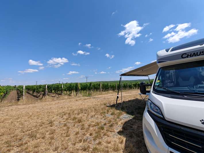 Park ´n ´Wine