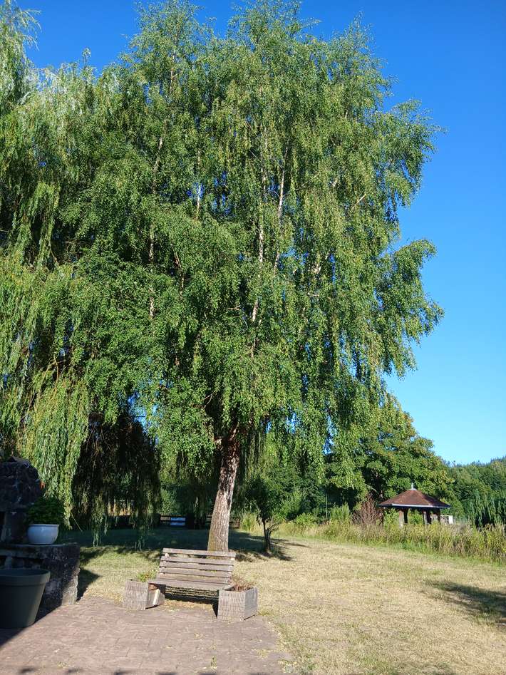 Camping de la Sarre