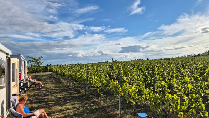 Weingut Vögeli - Dirk Vögeli