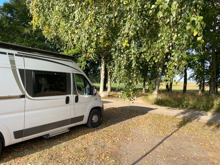Kungsmarken