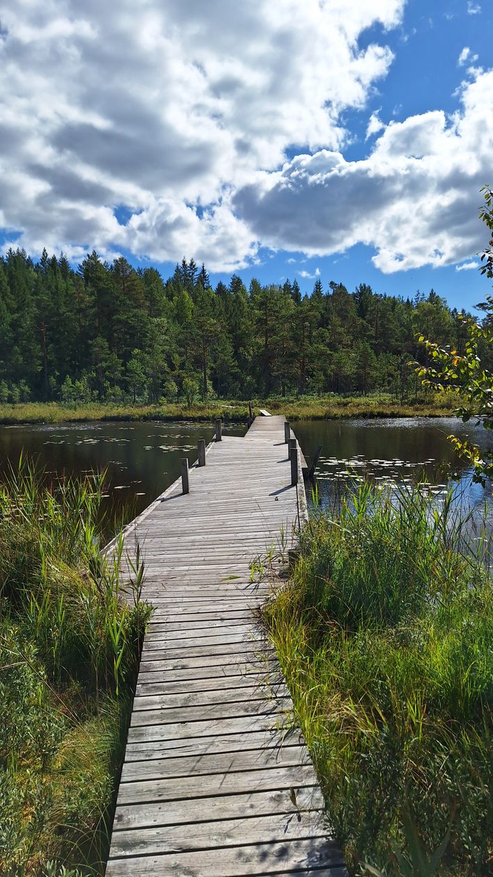 Ängebytjärnet