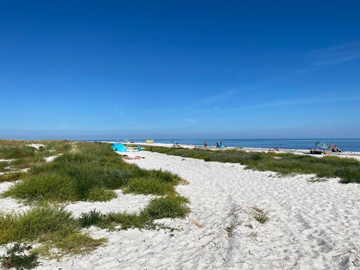 Dueodde Familiencamping