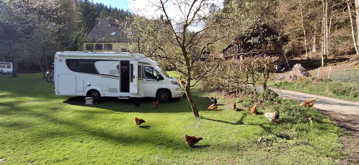 Campingplatz Waldkraft